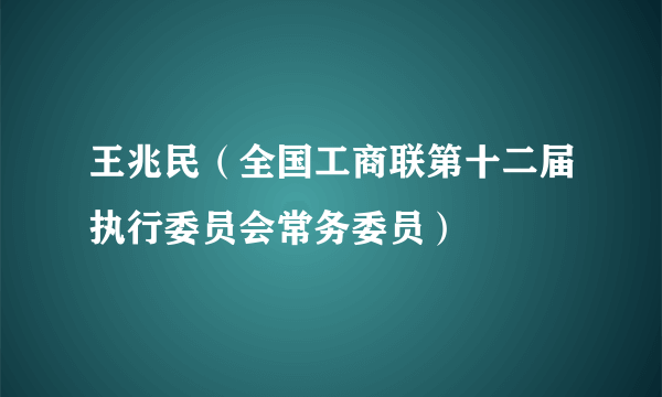 王兆民（全国工商联第十二届执行委员会常务委员）