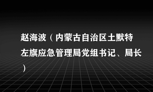 赵海波（内蒙古自治区土默特左旗应急管理局党组书记、局长）