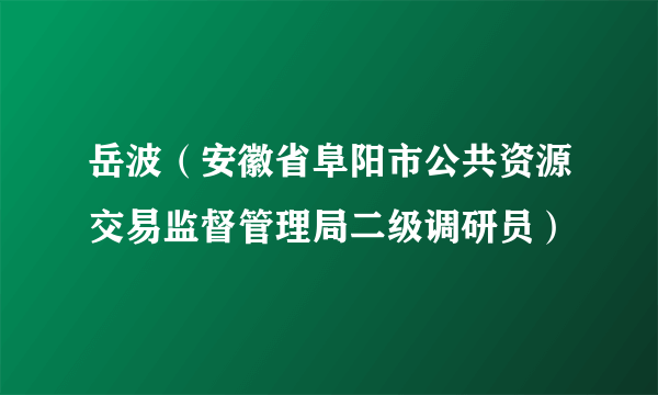 岳波（安徽省阜阳市公共资源交易监督管理局二级调研员）