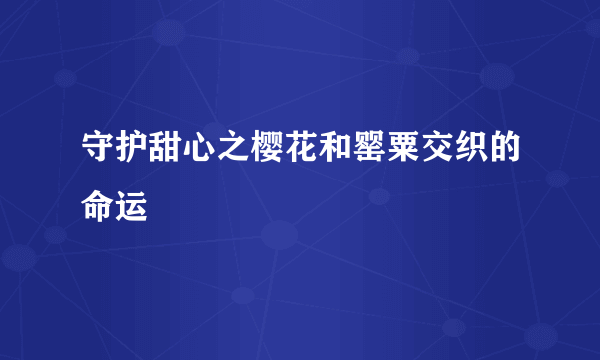 什么是守护甜心之樱花和罂粟交织的命运