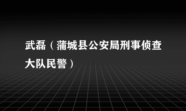 武磊（蒲城县公安局刑事侦查大队民警）