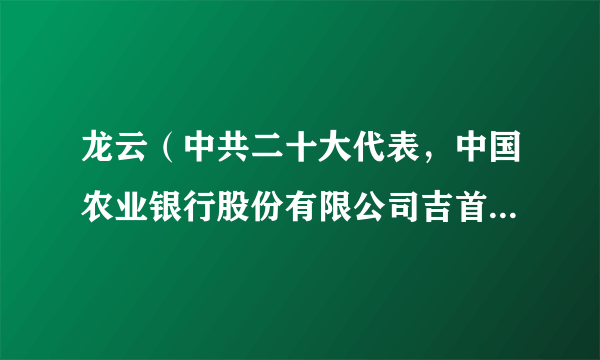 龙云（中共二十大代表，中国农业银行股份有限公司吉首市支行行长）