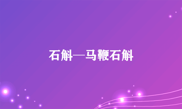 石斛─马鞭石斛