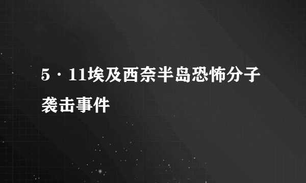 什么是5·11埃及西奈半岛恐怖分子袭击事件