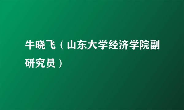 什么是牛晓飞（山东大学经济学院副研究员）