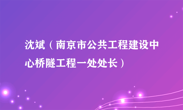 沈斌（南京市公共工程建设中心桥隧工程一处处长）