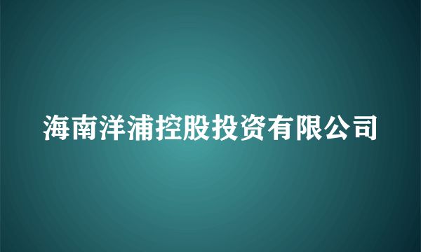 海南洋浦控股投资有限公司