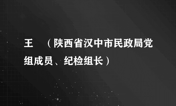 什么是王珺（陕西省汉中市民政局党组成员、纪检组长）