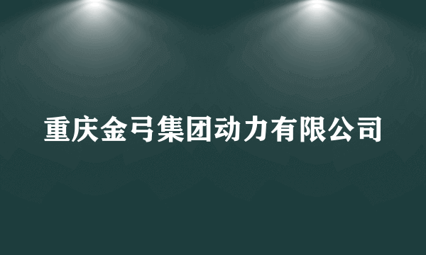 重庆金弓集团动力有限公司