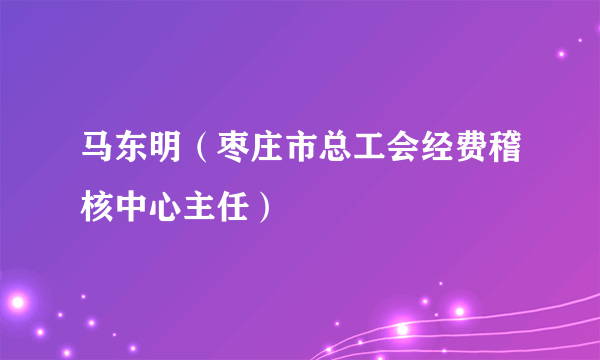 马东明（枣庄市总工会经费稽核中心主任）