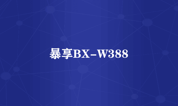 暴享BX-W388