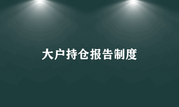 大户持仓报告制度