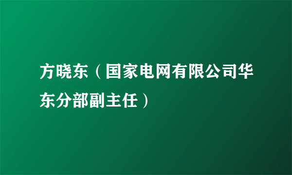 方晓东（国家电网有限公司华东分部副主任）