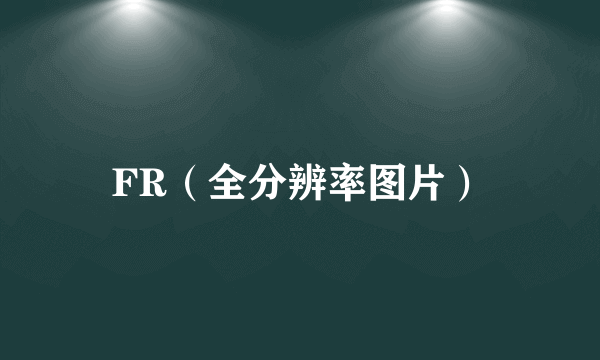 FR（全分辨率图片）