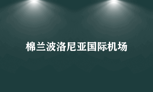 什么是棉兰波洛尼亚国际机场