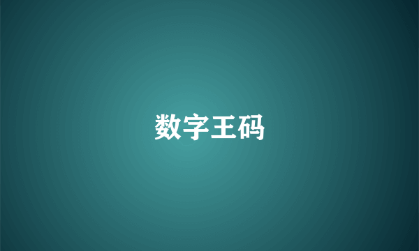 数字王码