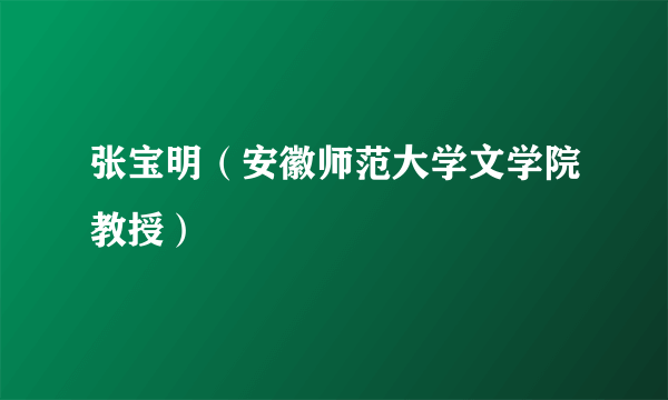 什么是张宝明（安徽师范大学文学院教授）