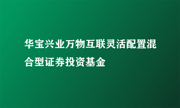 华宝兴业万物互联灵活配置混合型证券投资基金