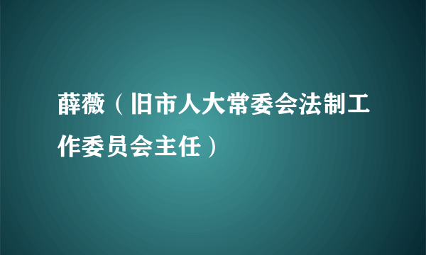 什么是薛薇（旧市人大常委会法制工作委员会主任）