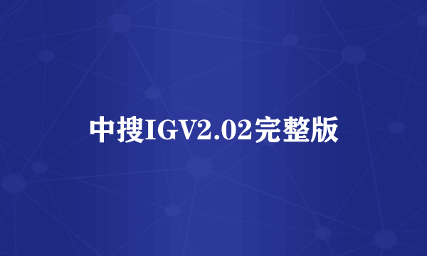 什么是中搜IGV2.02完整版