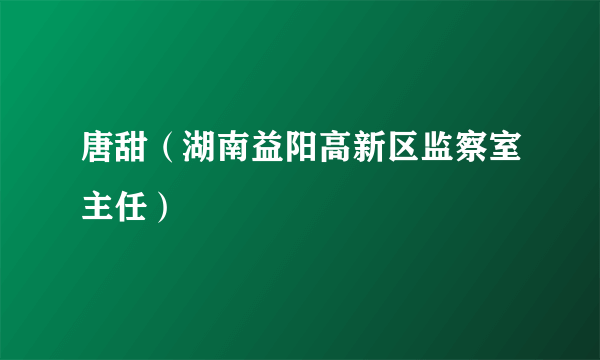 唐甜（湖南益阳高新区监察室主任）