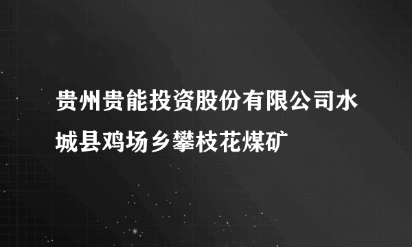 贵州贵能投资股份有限公司水城县鸡场乡攀枝花煤矿