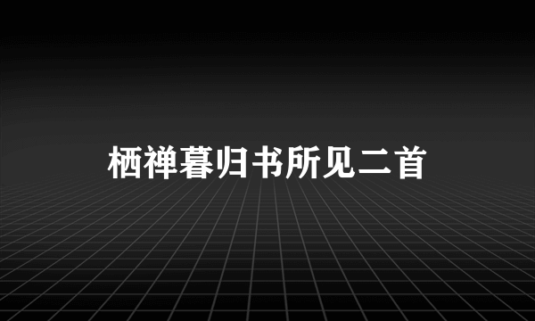 什么是栖禅暮归书所见二首