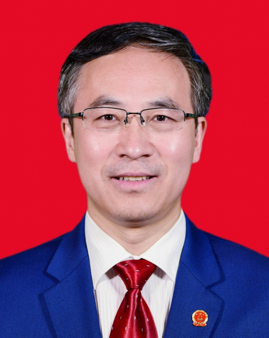 什么是张文军（上海市浦东新区高行镇党委书记）