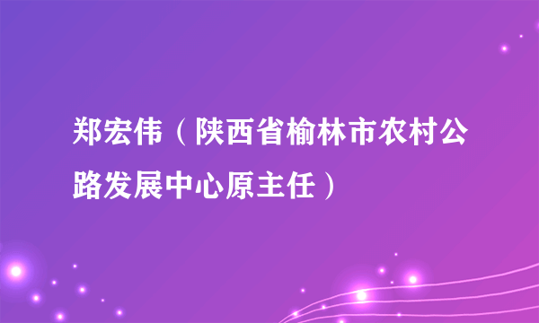 郑宏伟（陕西省榆林市农村公路发展中心原主任）