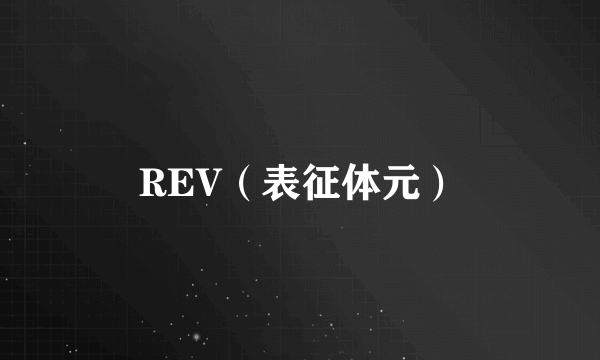 REV（表征体元）