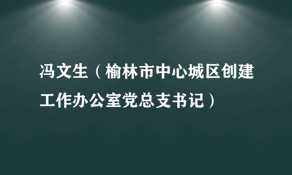 什么是冯文生（榆林市中心城区创建工作办公室党总支书记）