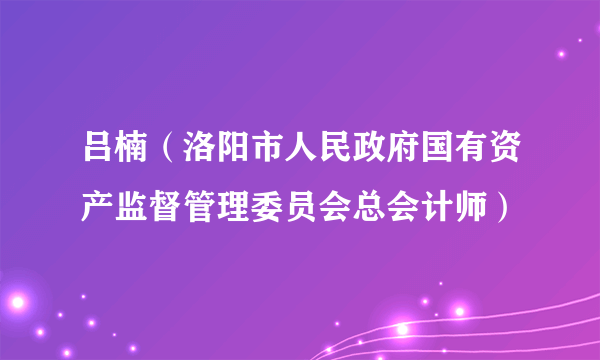 吕楠（洛阳市人民政府国有资产监督管理委员会总会计师）