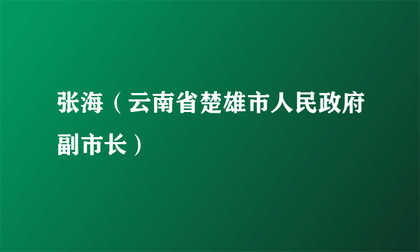 张海（云南省楚雄市人民政府副市长）