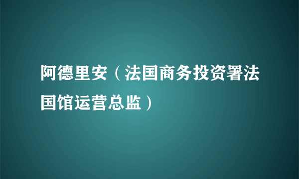 什么是阿德里安（法国商务投资署法国馆运营总监）