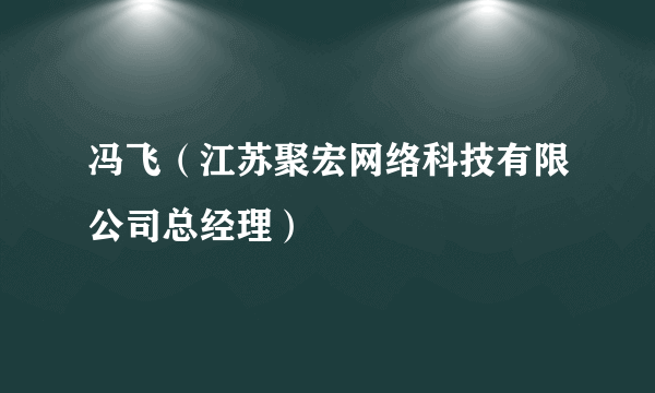 什么是冯飞（江苏聚宏网络科技有限公司总经理）