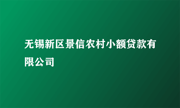 无锡新区景信农村小额贷款有限公司