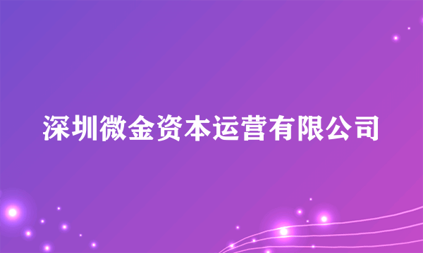 深圳微金资本运营有限公司