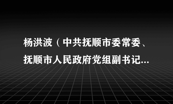 杨洪波（中共抚顺市委常委、抚顺市人民政府党组副书记、副市长）