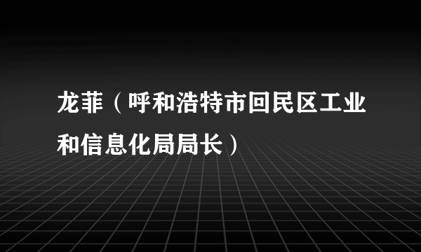 龙菲（呼和浩特市回民区工业和信息化局局长）