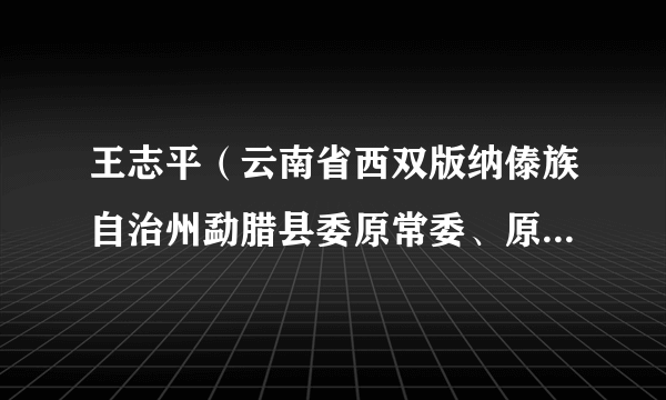 王志平（云南省西双版纳傣族自治州勐腊县委原常委、原常务副县长）