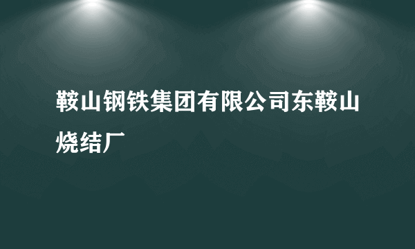 鞍山钢铁集团有限公司东鞍山烧结厂