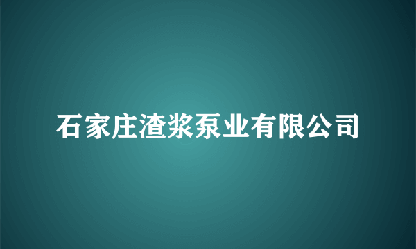 石家庄渣浆泵业有限公司