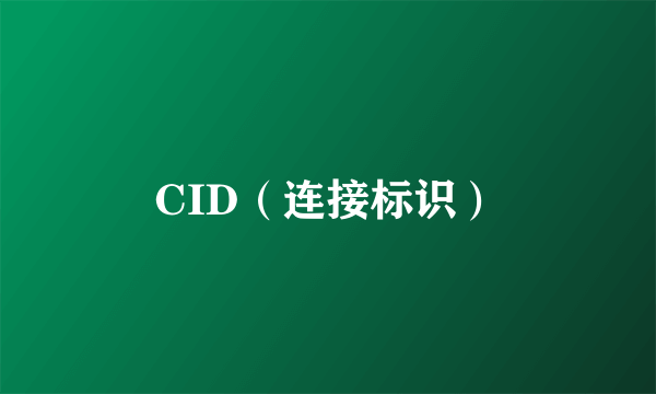 CID（连接标识）