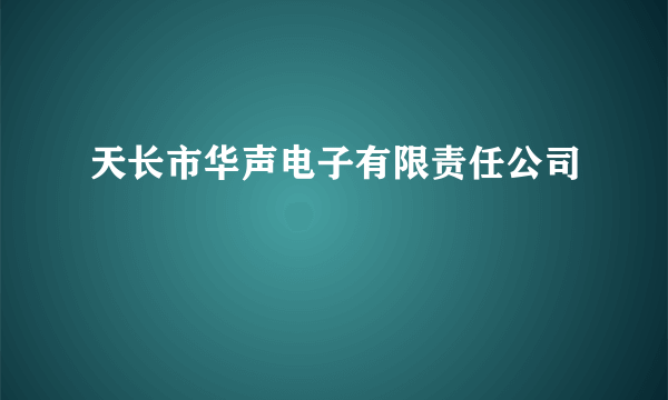 天长市华声电子有限责任公司