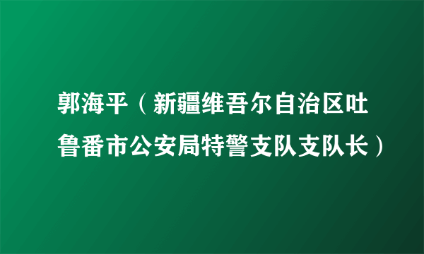 郭海平（新疆维吾尔自治区吐鲁番市公安局特警支队支队长）