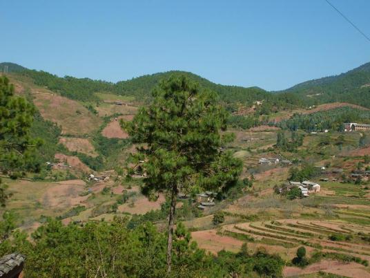 龙潭村（云南省大理州漾濞县龙潭乡龙潭村）