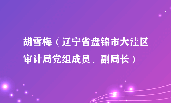 胡雪梅（辽宁省盘锦市大洼区审计局党组成员、副局长）