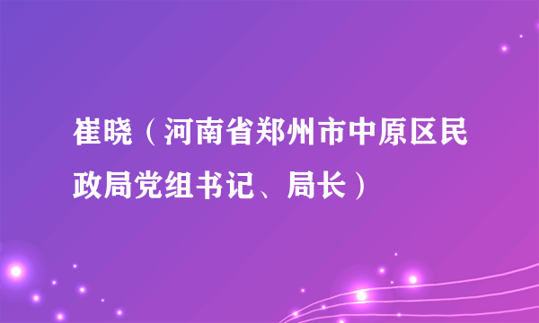 崔晓（河南省郑州市中原区民政局党组书记、局长）