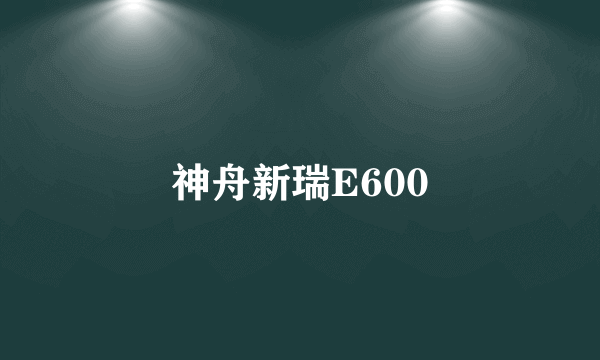 神舟新瑞E600