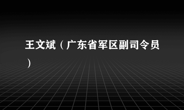 王文斌（广东省军区副司令员）